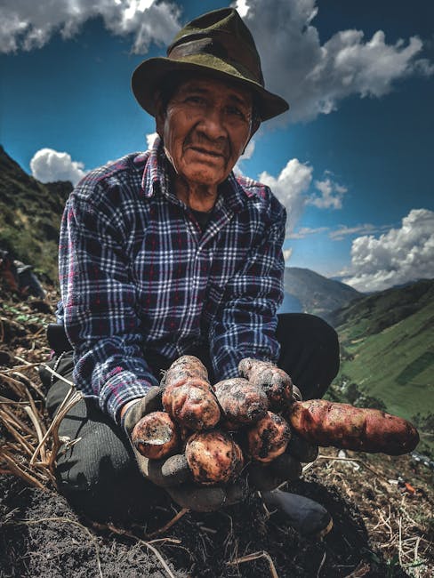The Potato's South American Origins (image credits: pexels)