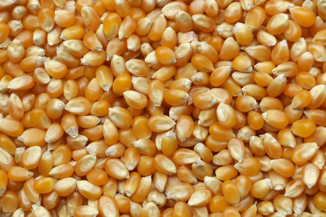 Refined Grains (image credits: unsplash)