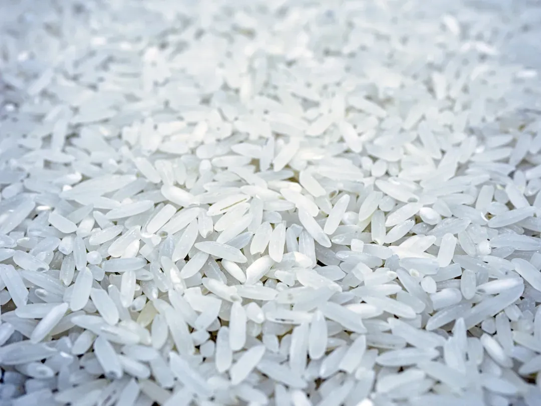 White Rice: The Grain That Defies Time (Image Credits: Unsplash)