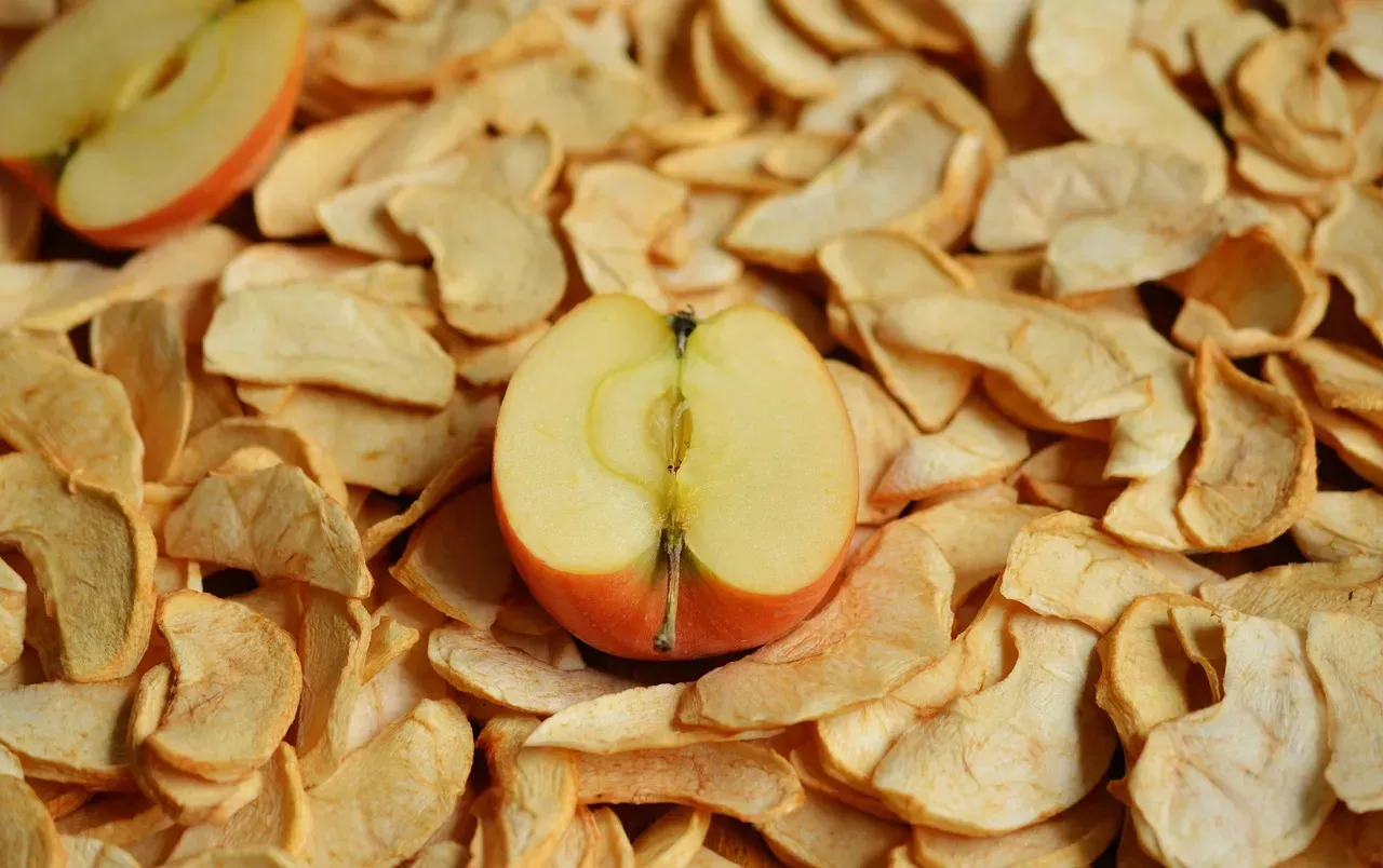 Dried Apples and Pumpkin Mats (Image Credits: Pixabay)