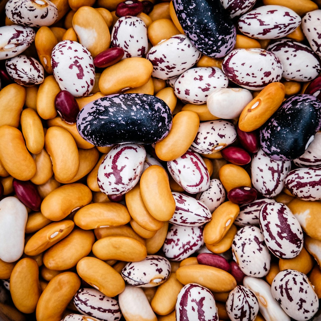 Beans: The Unsung Cholesterol Heroes (image credits: unsplash)