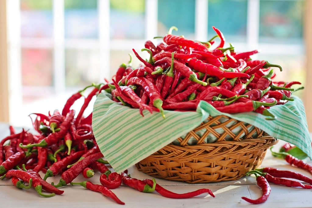 From Garden to Plate: The Journey of an Ingredient (image credits: rawpixel)