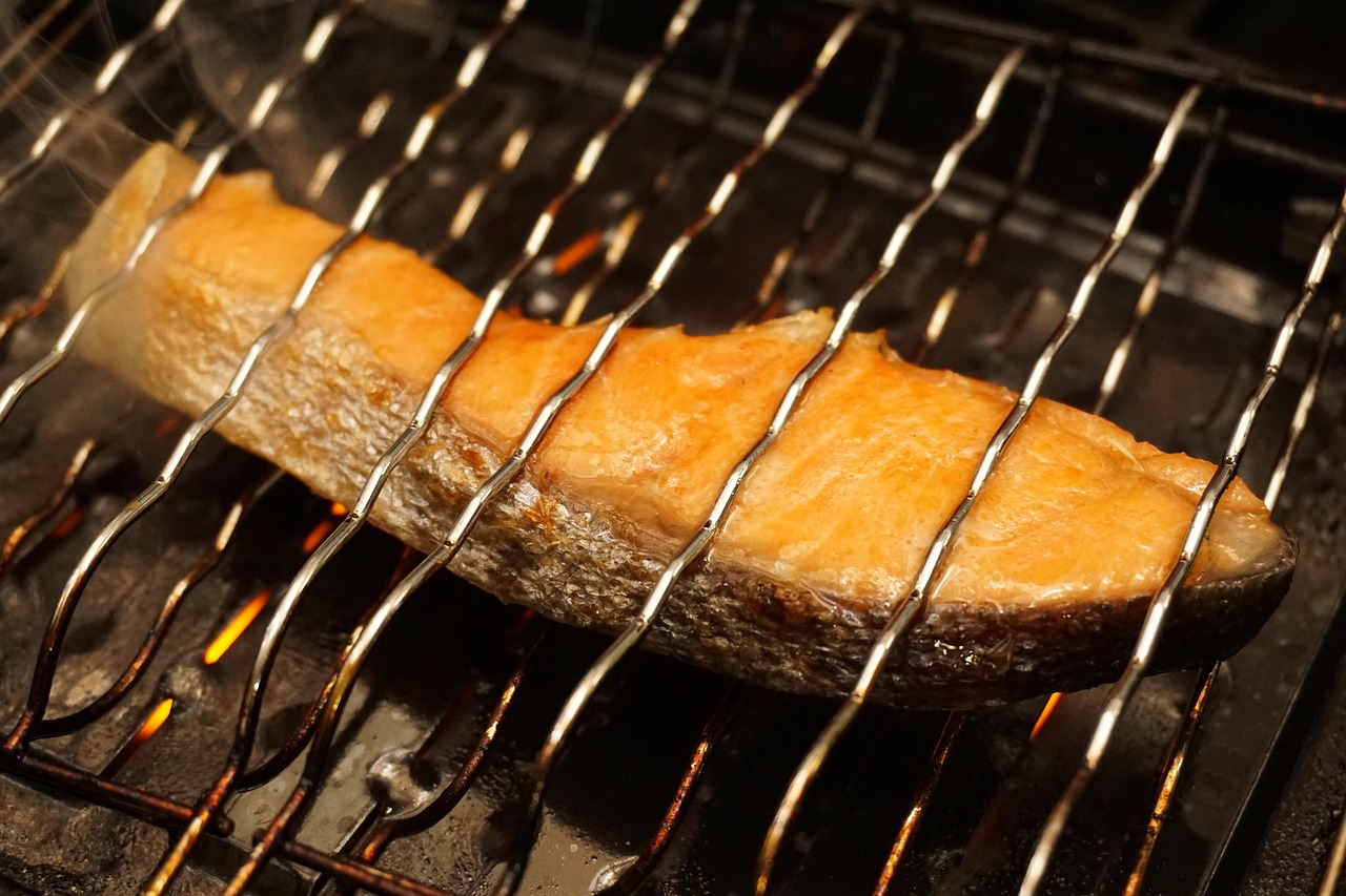 Master the Perfect Temperature—Your Grill's Sweet Spot (image credits: pixabay)