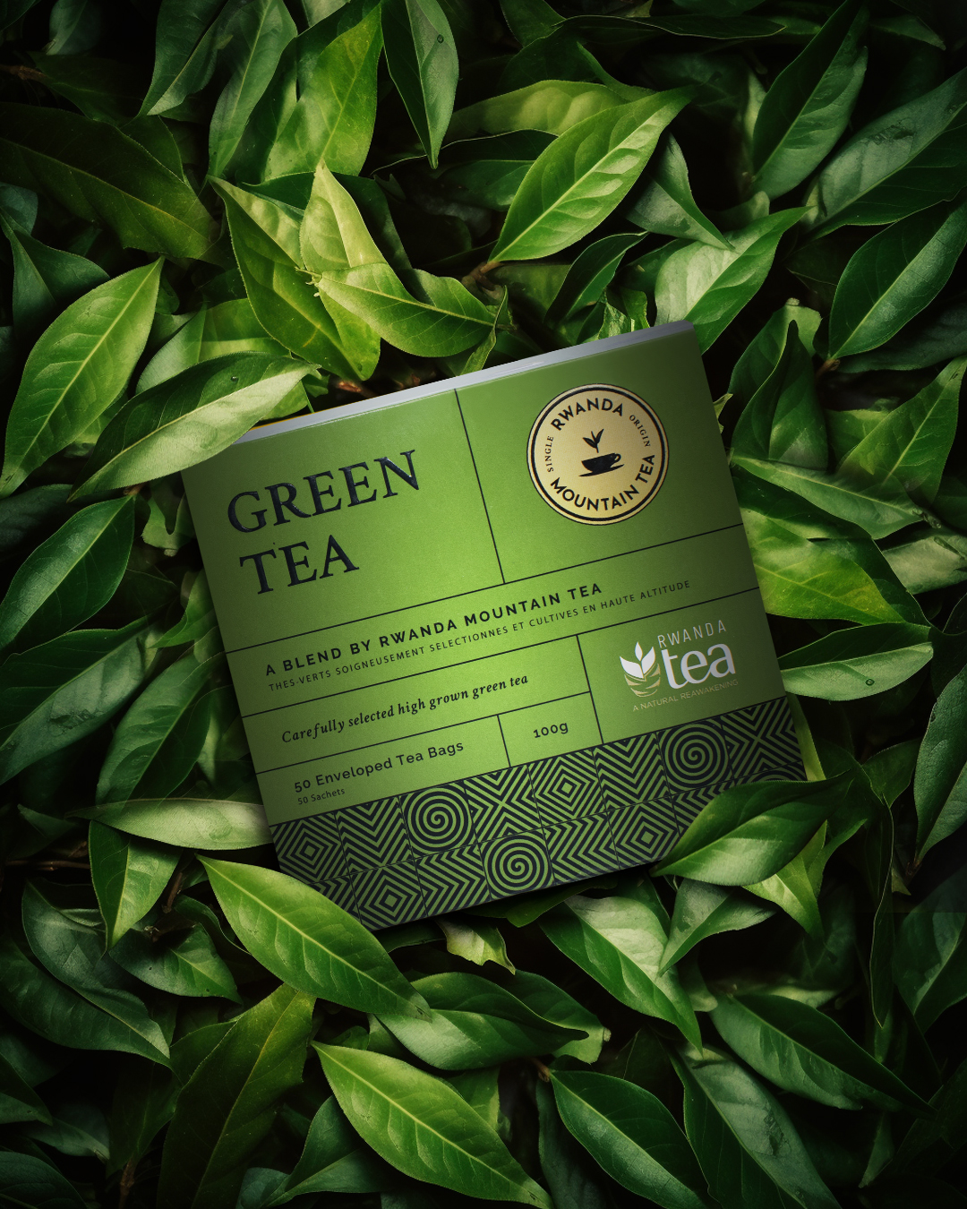 Green Tea: The Antioxidant Powerhouse (image credits: wikimedia)