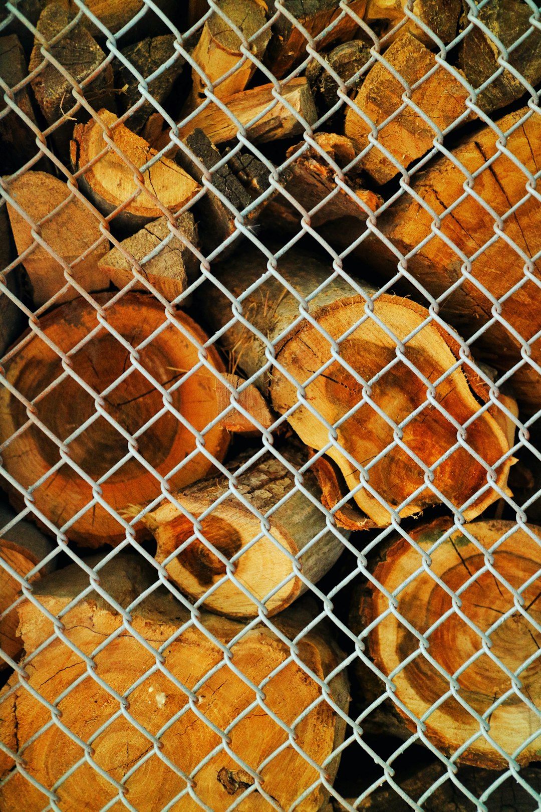 Changing the Conversation About Prison Food (image credits: unsplash)