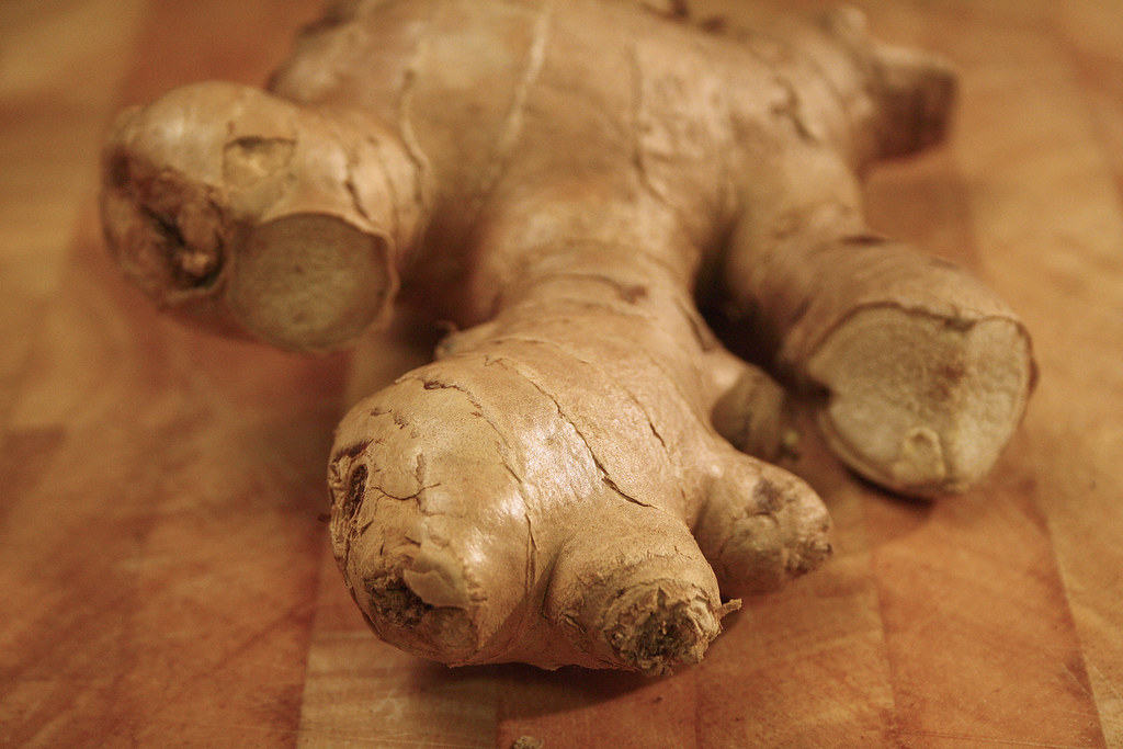 Ginger (image credits: flickr)
