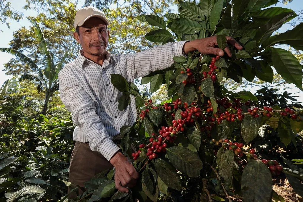 Honduras: Central America's Quiet Crisis (Image Credits: Flickr)