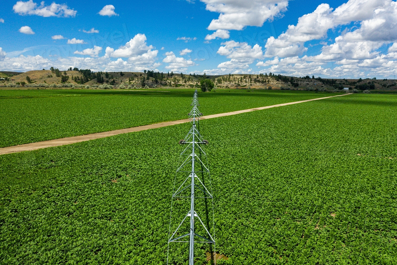 Environmental Sustainability Champions (image credits: rawpixel)