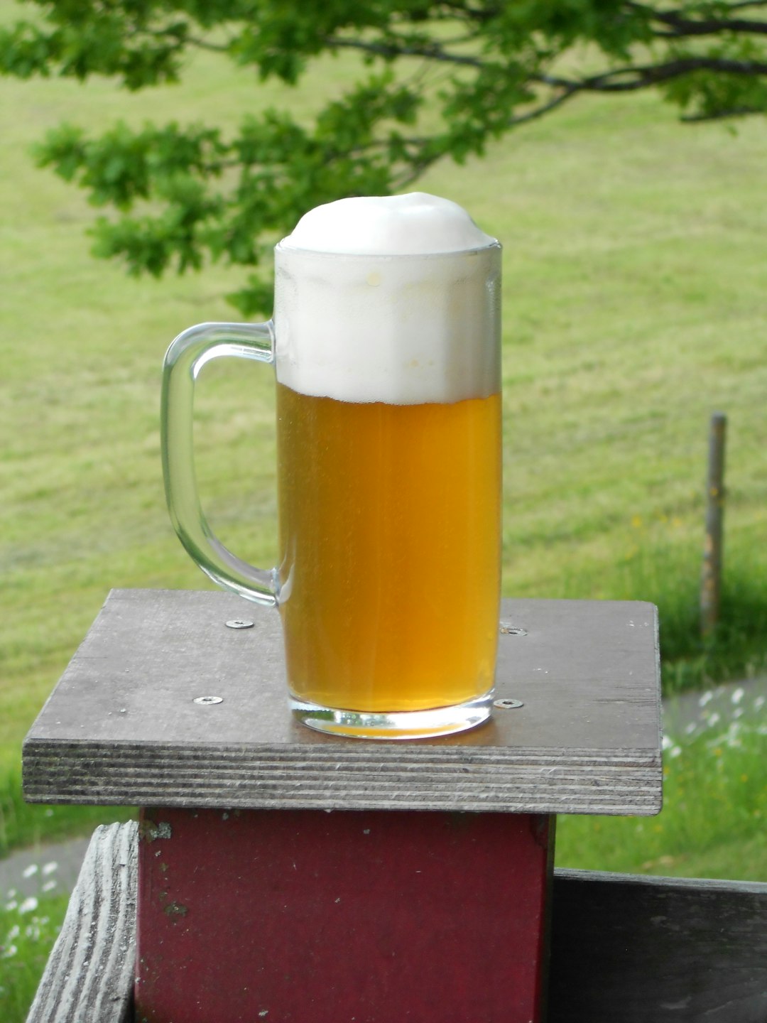 Medieval Monasteries: The Original Craft Beer Centers (image credits: unsplash)