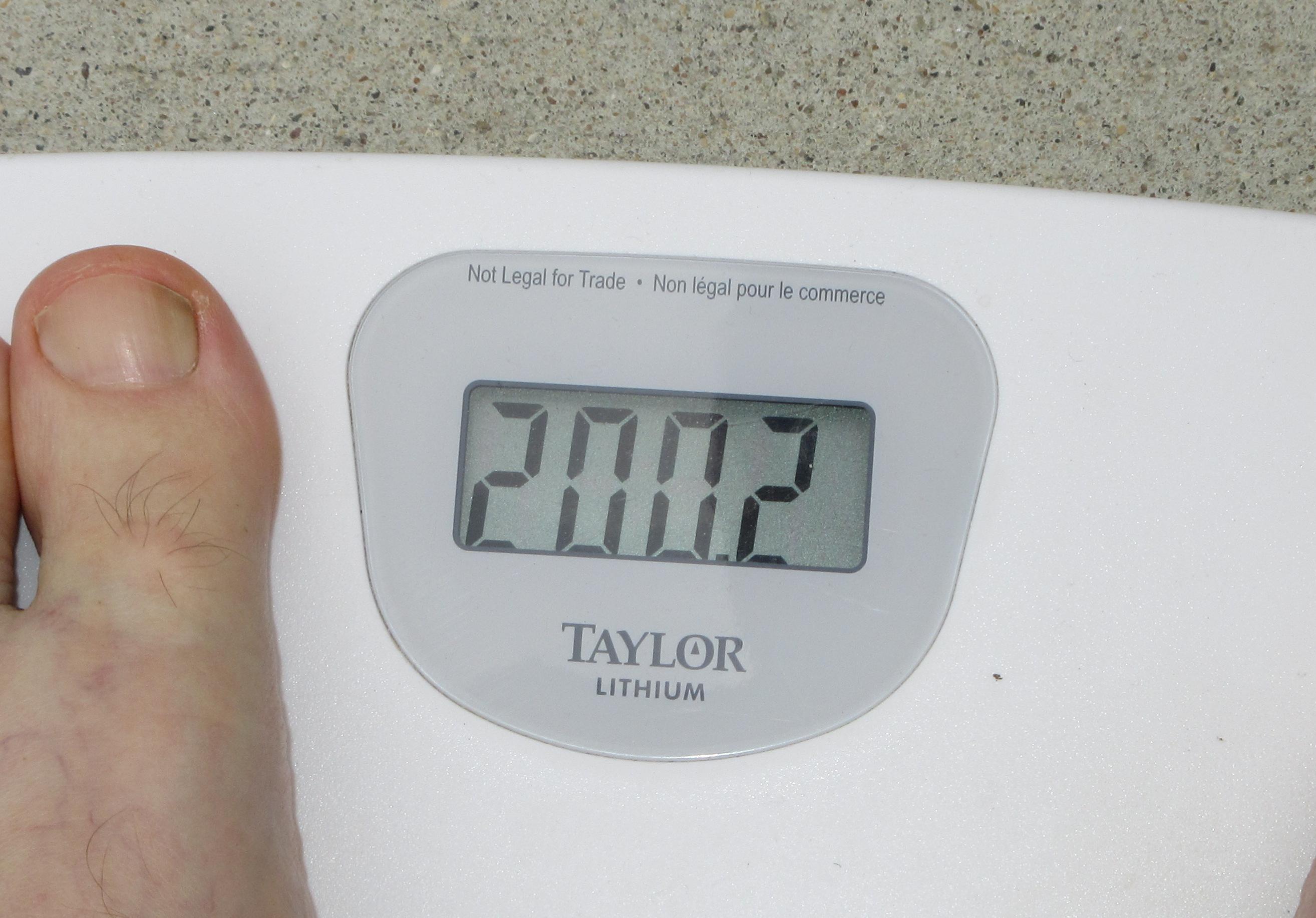 Short-Term Gains, Long-Term Pain? (image credits: wikimedia)