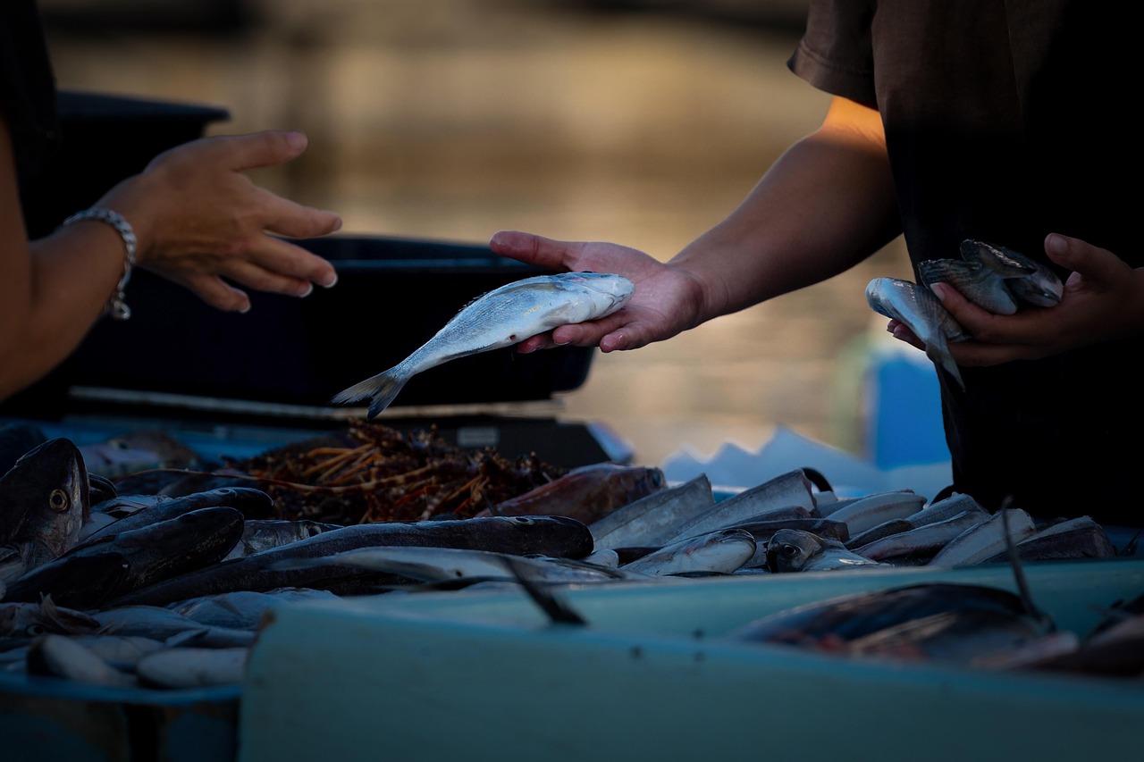 Consumer Acceptance and Market Dynamics (image credits: pixabay)