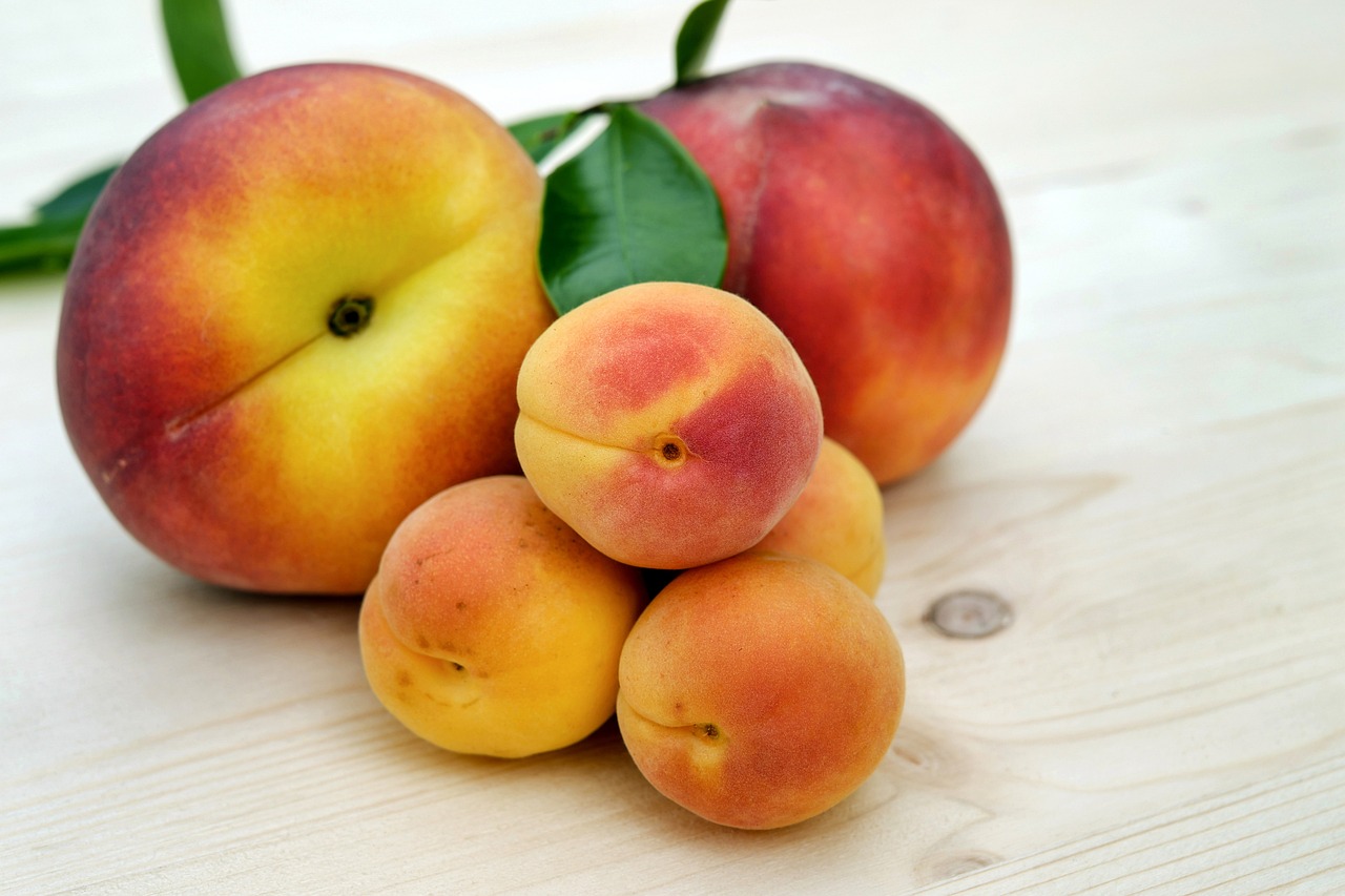 Camu Camu: The Vitamin C Champion (image credits: pixabay)