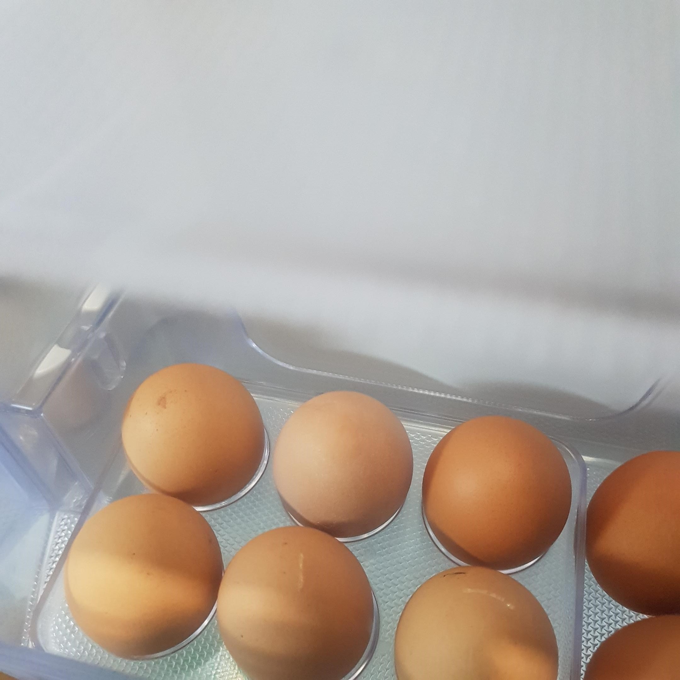 Eggs: A Nutritional All-Rounder (image credits: wikimedia)