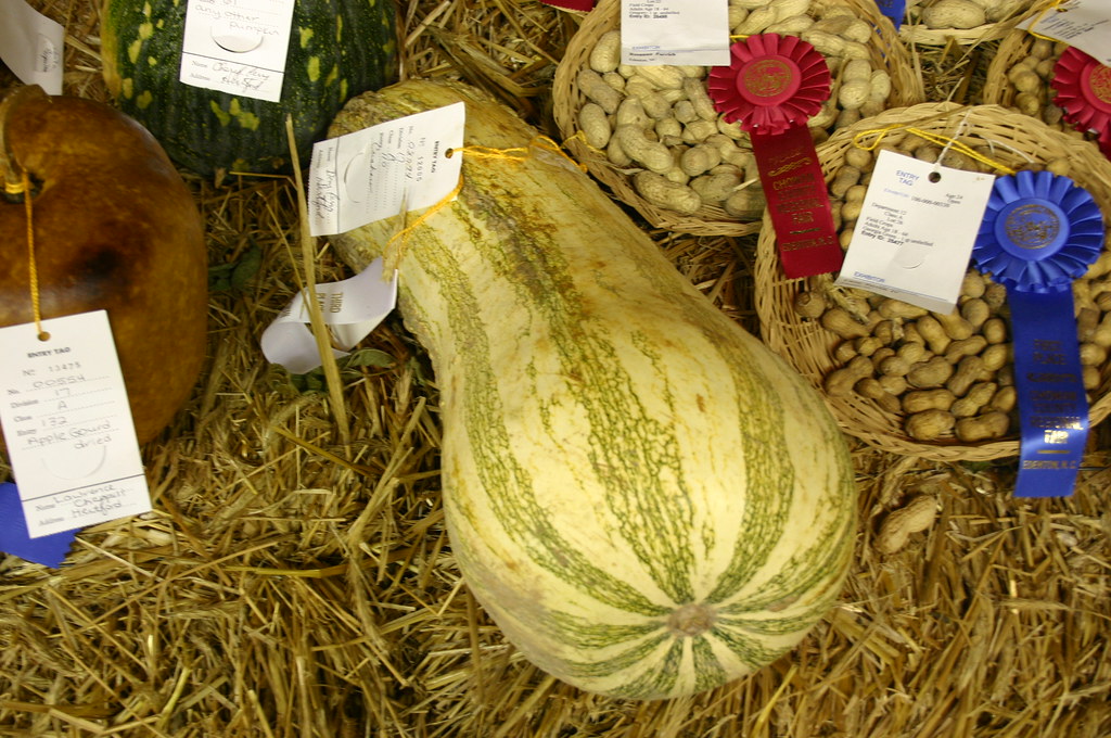 Cushaw Green-Striped Squash: The Survival Specialist (Image Credits: Flickr)