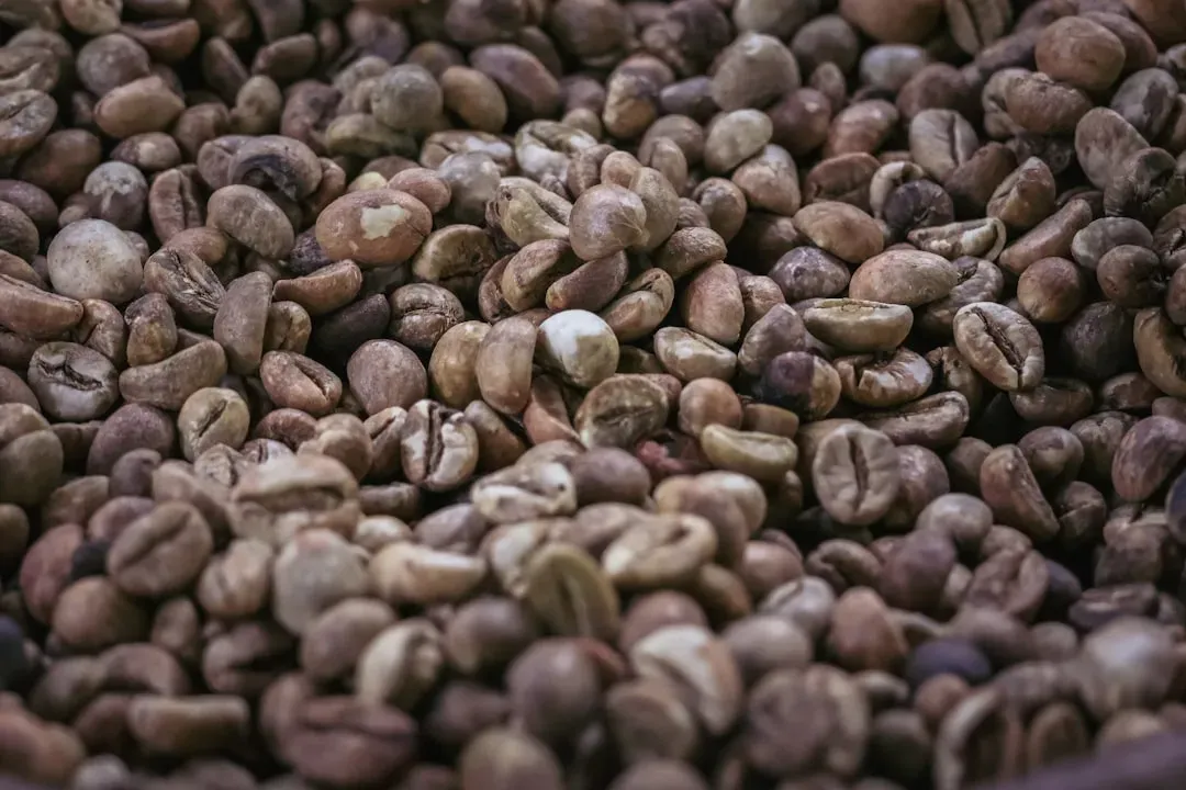 5. Kopi Luwak Coffee: An Expensive Story You're Buying, Not a Better Cup (Image Credits: Unsplash)