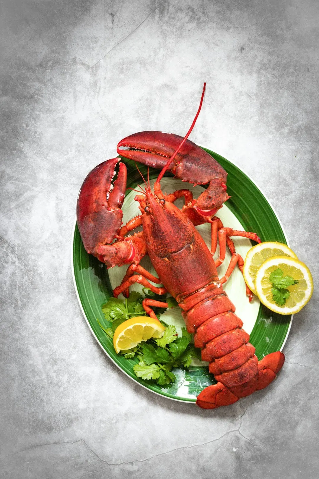 Lobster Thermidor: Theatre Over Taste, and a Very High Price Tag (Image Credits: Unsplash)
