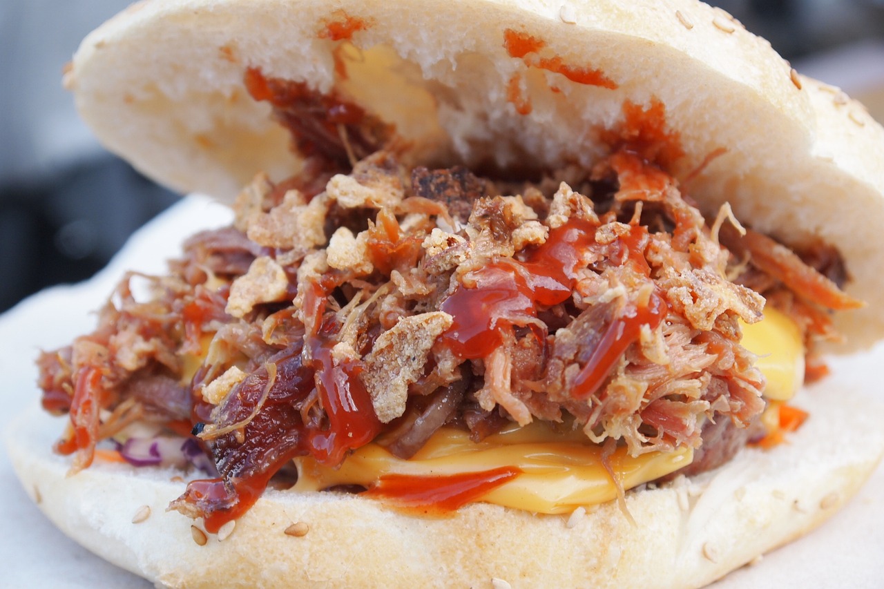 BBQ Pulled Pork Sandwich (image credits: pixabay)