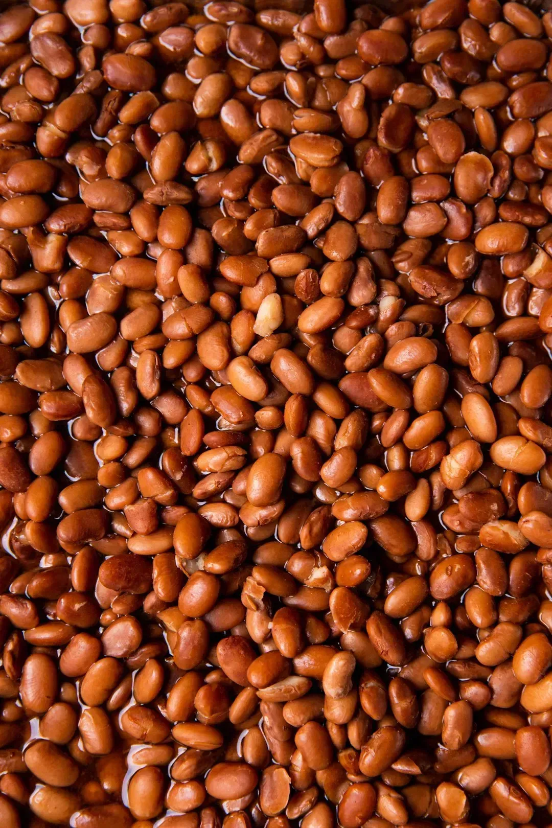 The Beans Come Dehydrated and Get Rehydrated All Day (Image Credits: Unsplash)