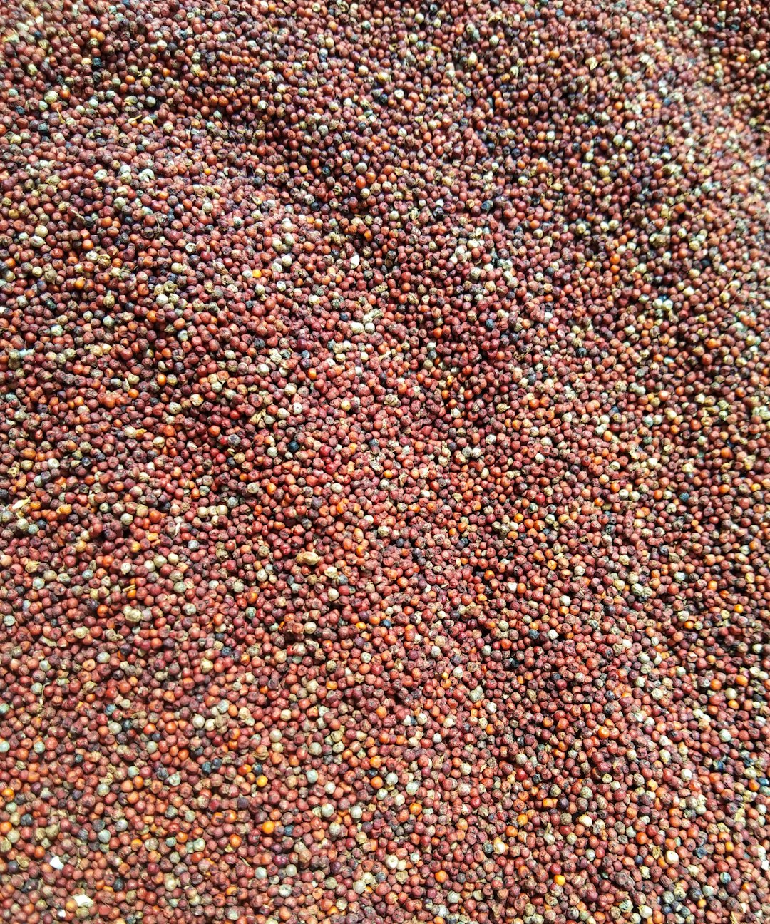 Mustard Seeds: Tiny Seeds, Big Benefits (image credits: unsplash)