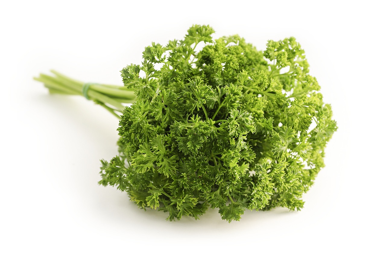 Parsley: The Fresh Touch (image credits: pixabay)