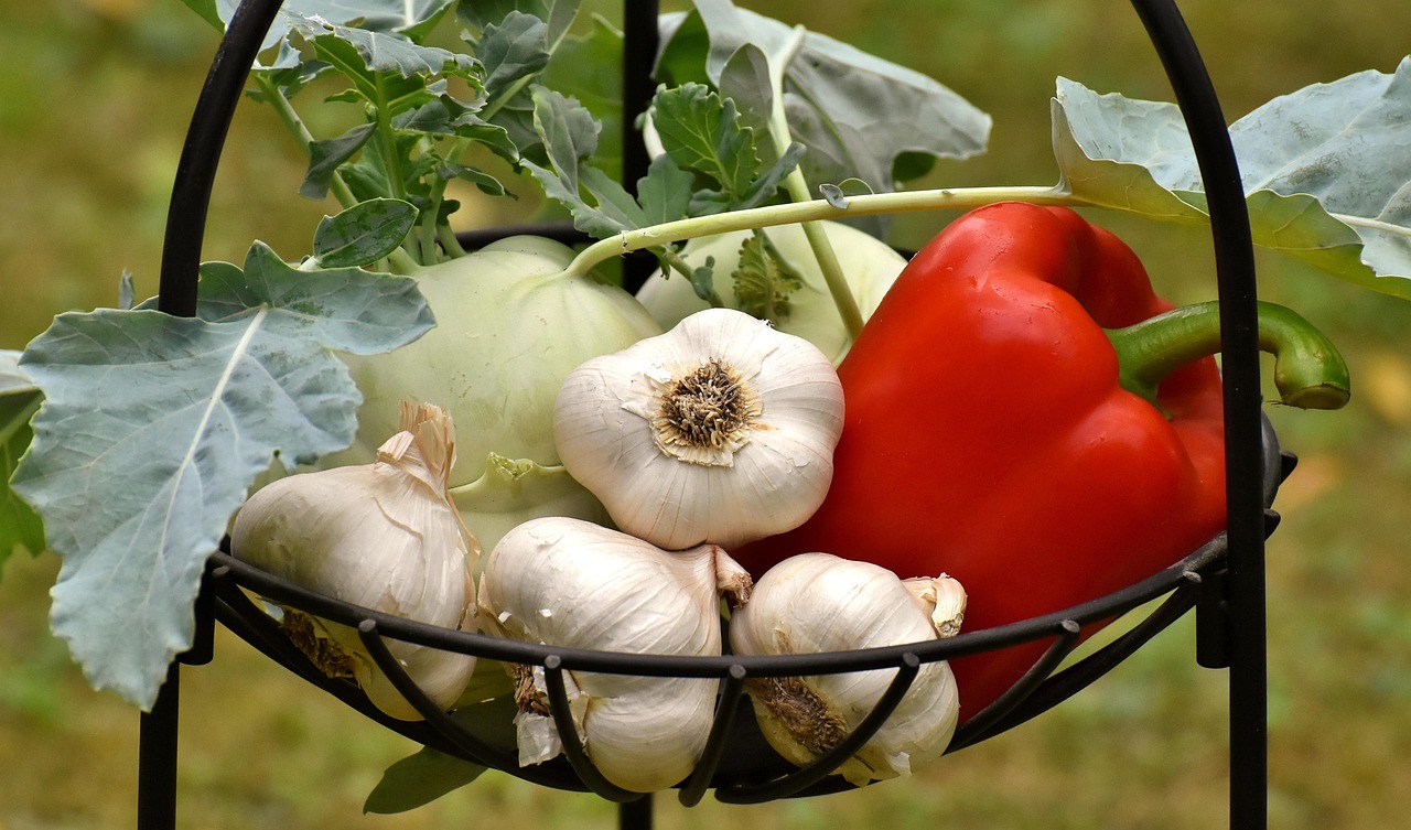 The Role of Garlic in Immune Support (image credits: pixabay)