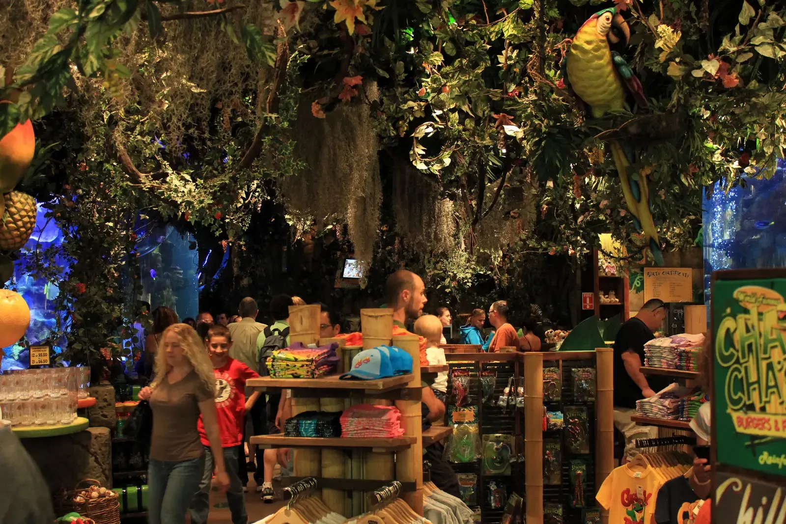 4. Rainforest Cafe (Multiple Locations) - Jungle Ambiance, Frozen Food Reality (Image Credits: Wikimedia)