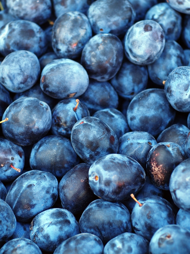 Plums: A Sweet and Tangy Option (image credits: rawpixel)