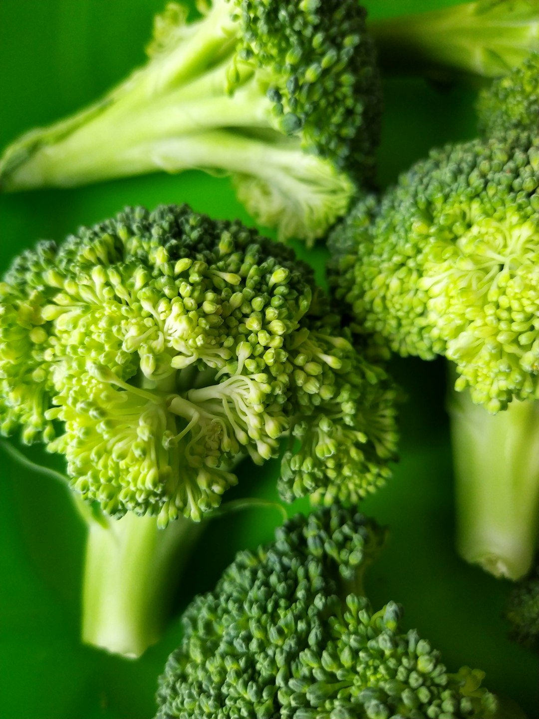 Broccoli: A Cruciferous Brain Protector (image credits: unsplash)