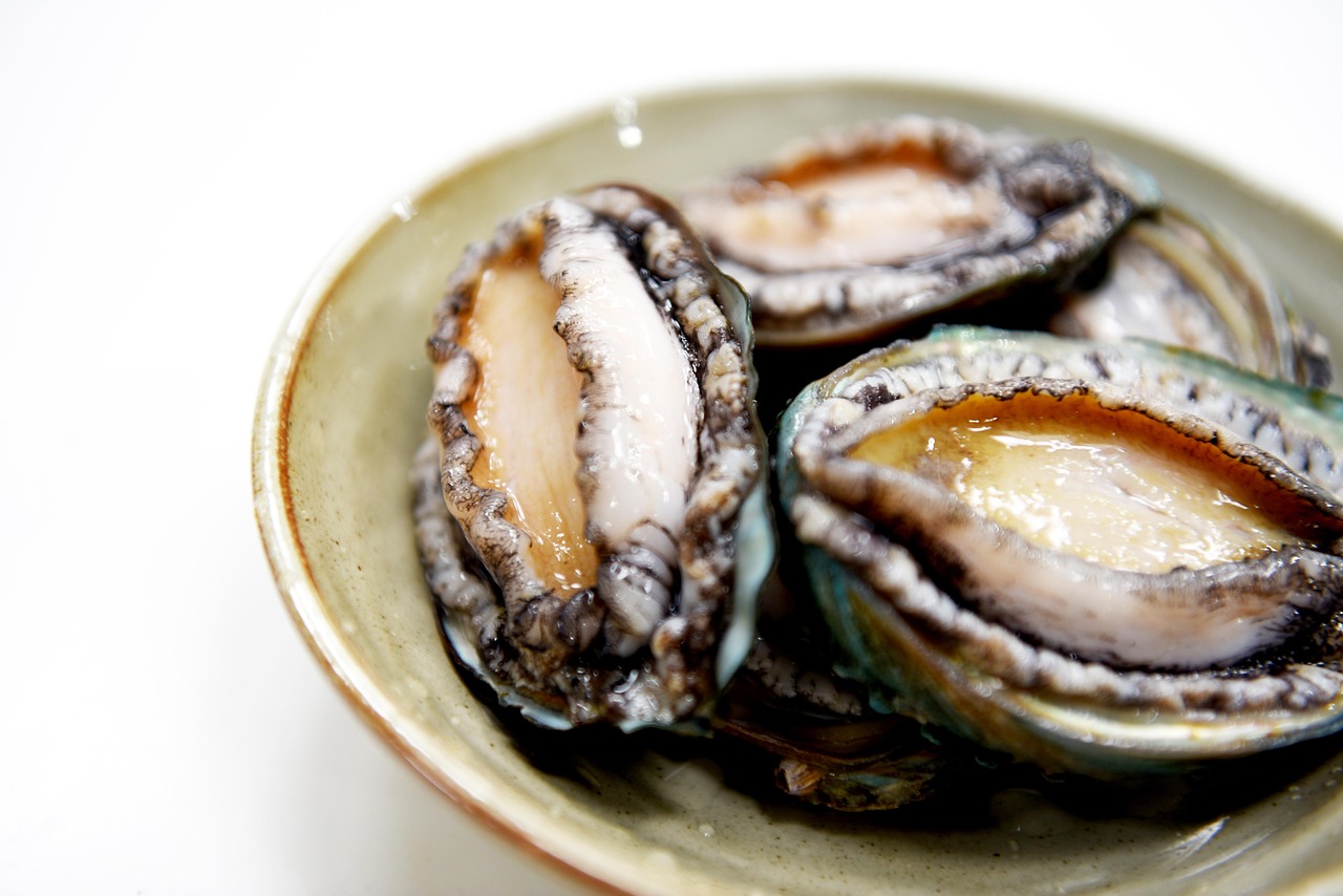 Abalone - The Prized Gastropod (image credits: pixabay)