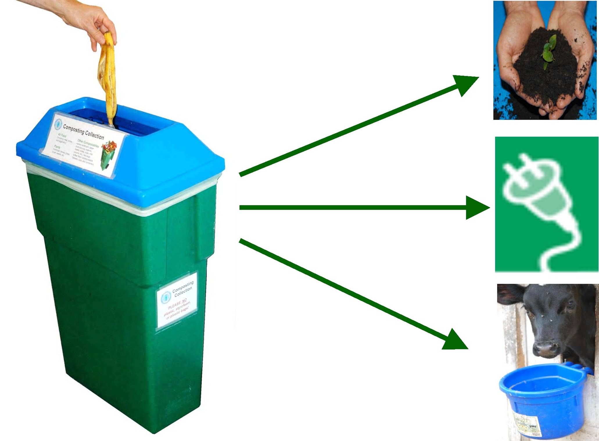 The Biggest Lesson: Small Shifts Save Food (and Money) (image credits: wikimedia)