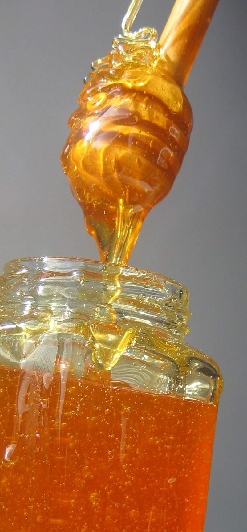 Honey: Nature’s Sweet Healer (image credits: wikimedia)