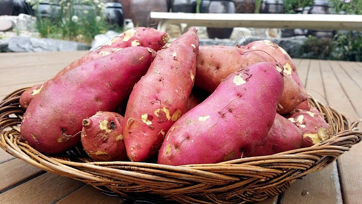 Sweet Potatoes: A Nutrient-Dense Alternative (image credits: wikimedia)