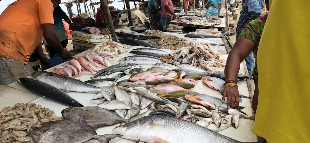 Where Your Fish Actually Comes From (Image Credits: Unsplash)