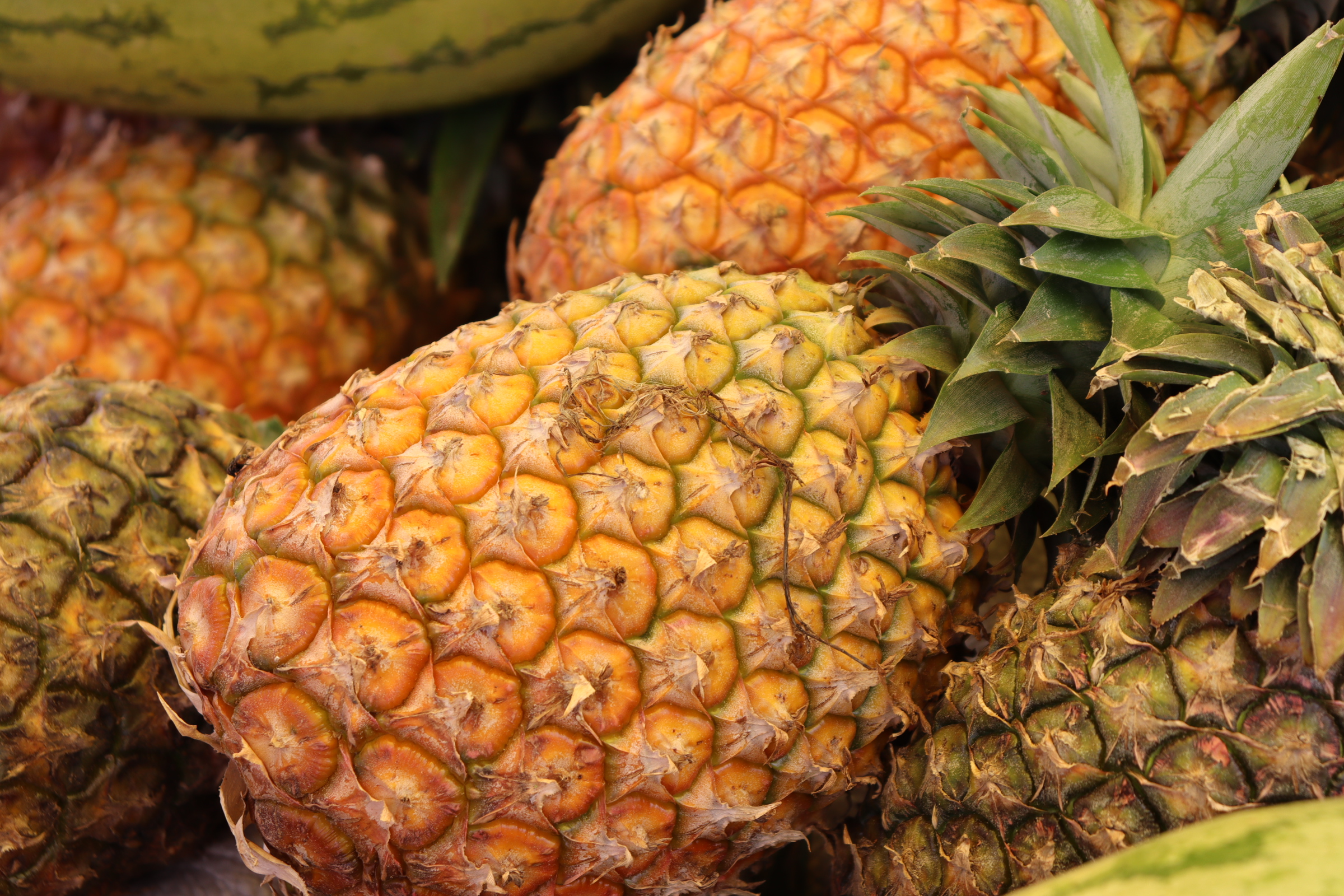 Pineapple: The Digestive Aid (image credits: wikimedia)