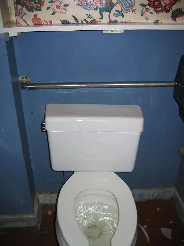 The Bathroom Is Neglected or Filthy (Image Credits: Flickr)