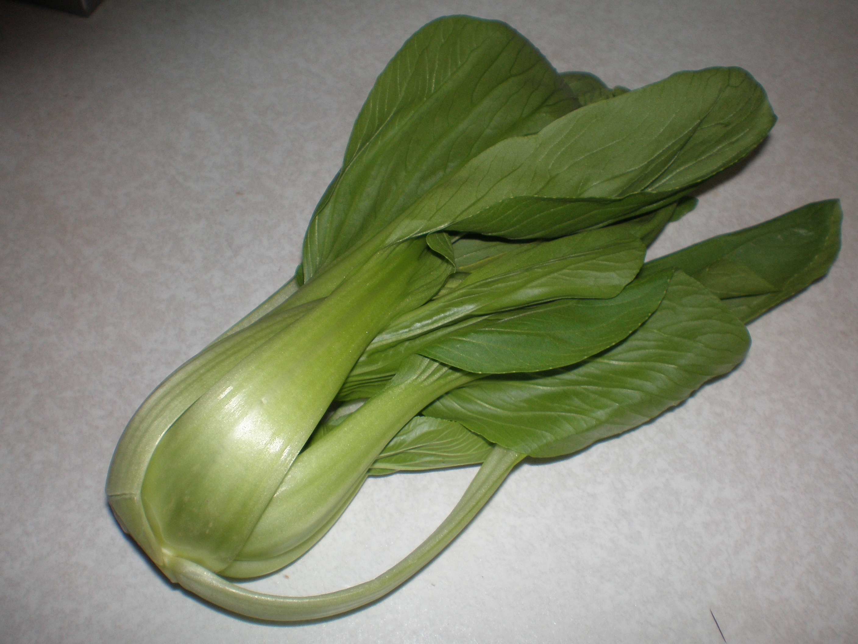 Bok Choy (image credits: wikimedia)