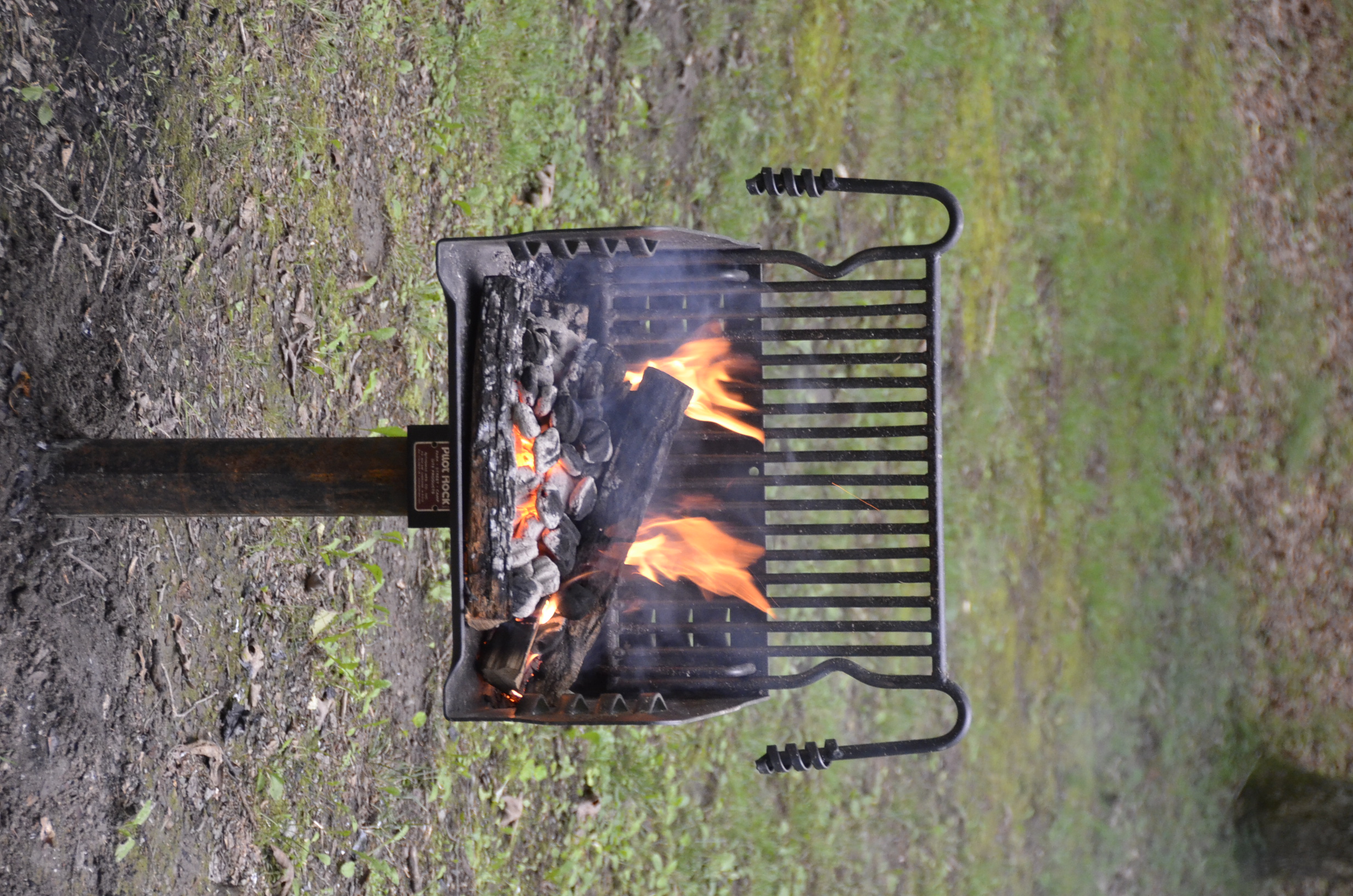 The Impact of Wood and Charcoal (image credits: wikimedia)