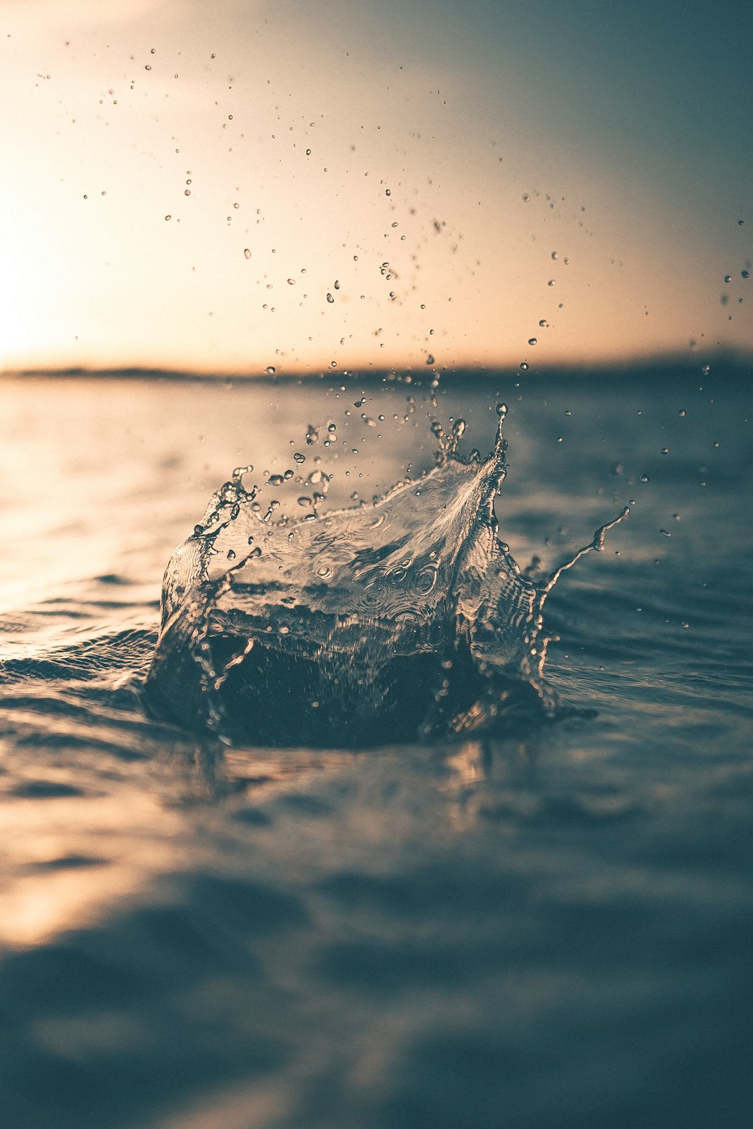The Importance of Water (image credits: unsplash)