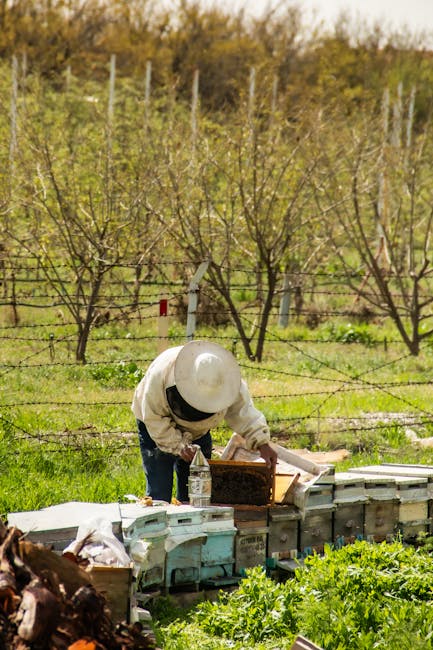 The Revival of Mead (image credits: pexels)