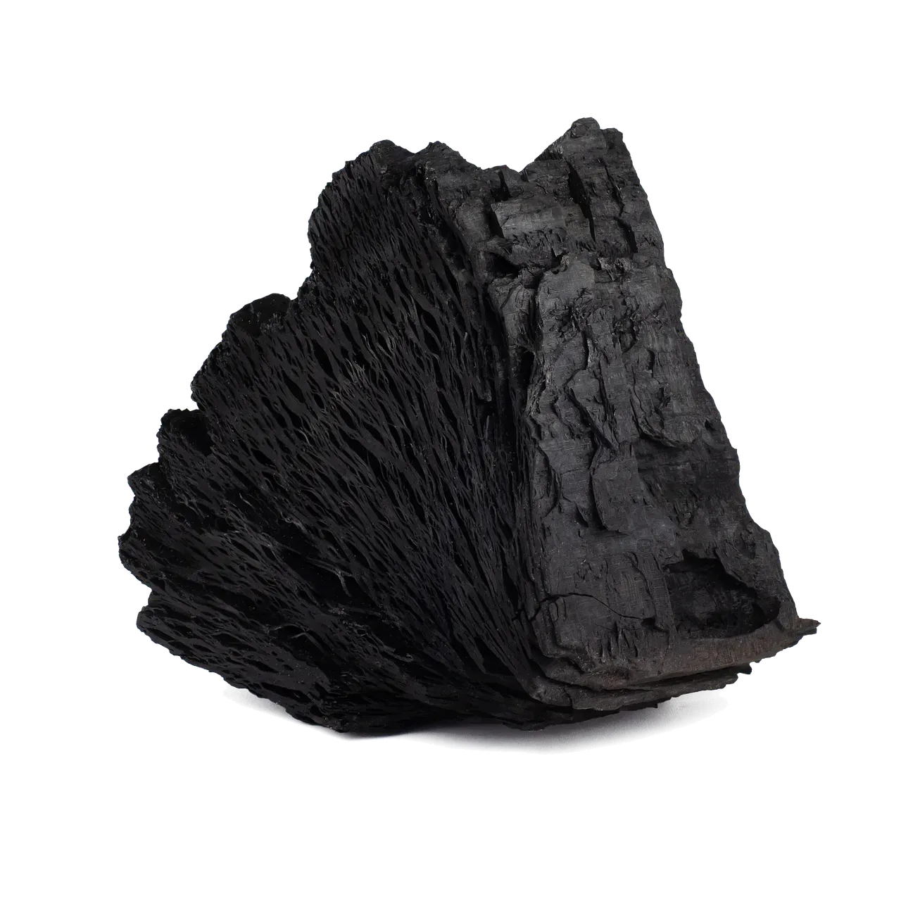Activated Charcoal: The Detox Darling With Zero Evidence (Image Credits: Pixabay)