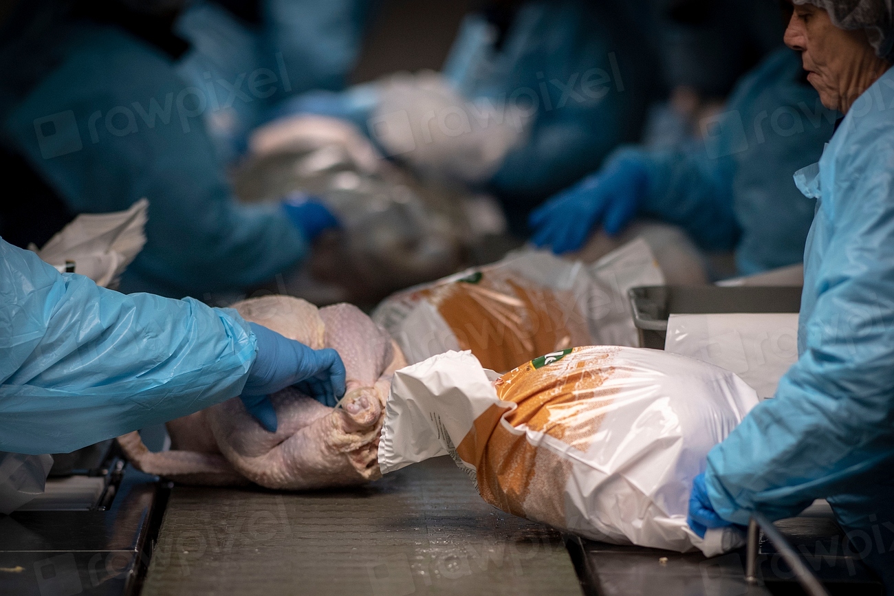 Meat That Makes You Question Your Purchase (image credits: rawpixel)