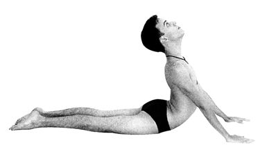 Full Cobra (Overarching the Back) (image credits: wikimedia)