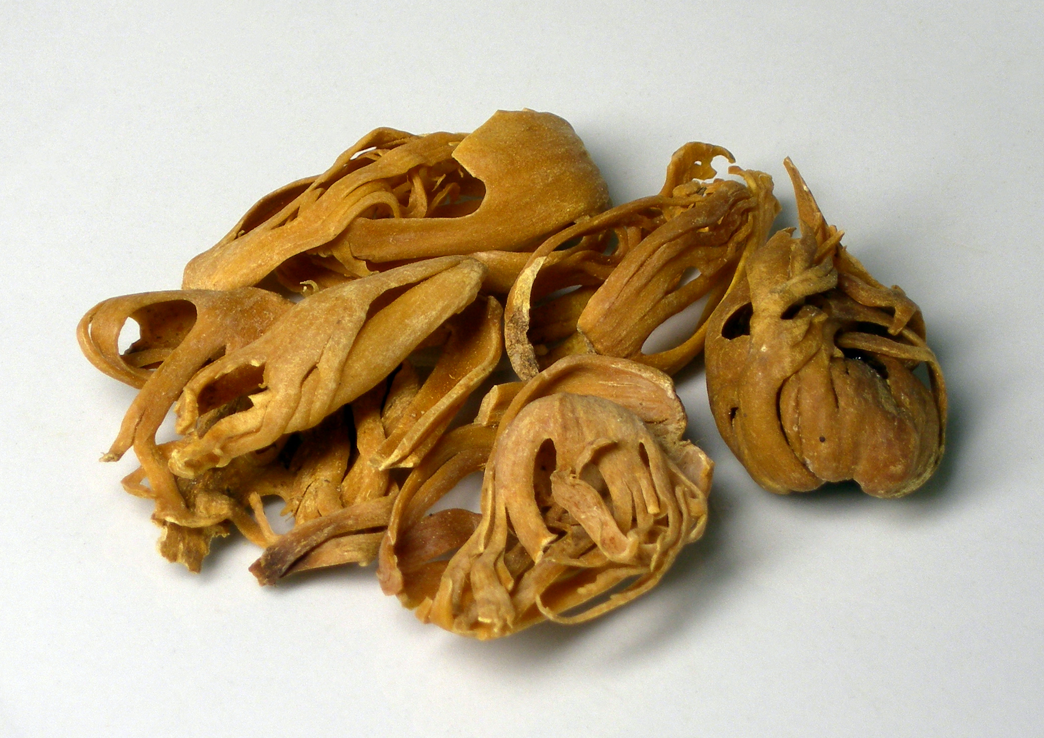 Mace: Nutmeg's More Sophisticated Sibling (image credits: By Rainer Z ..., CC BY-SA 3.0, https://commons.wikimedia.org/w/index.php?curid=3859944)