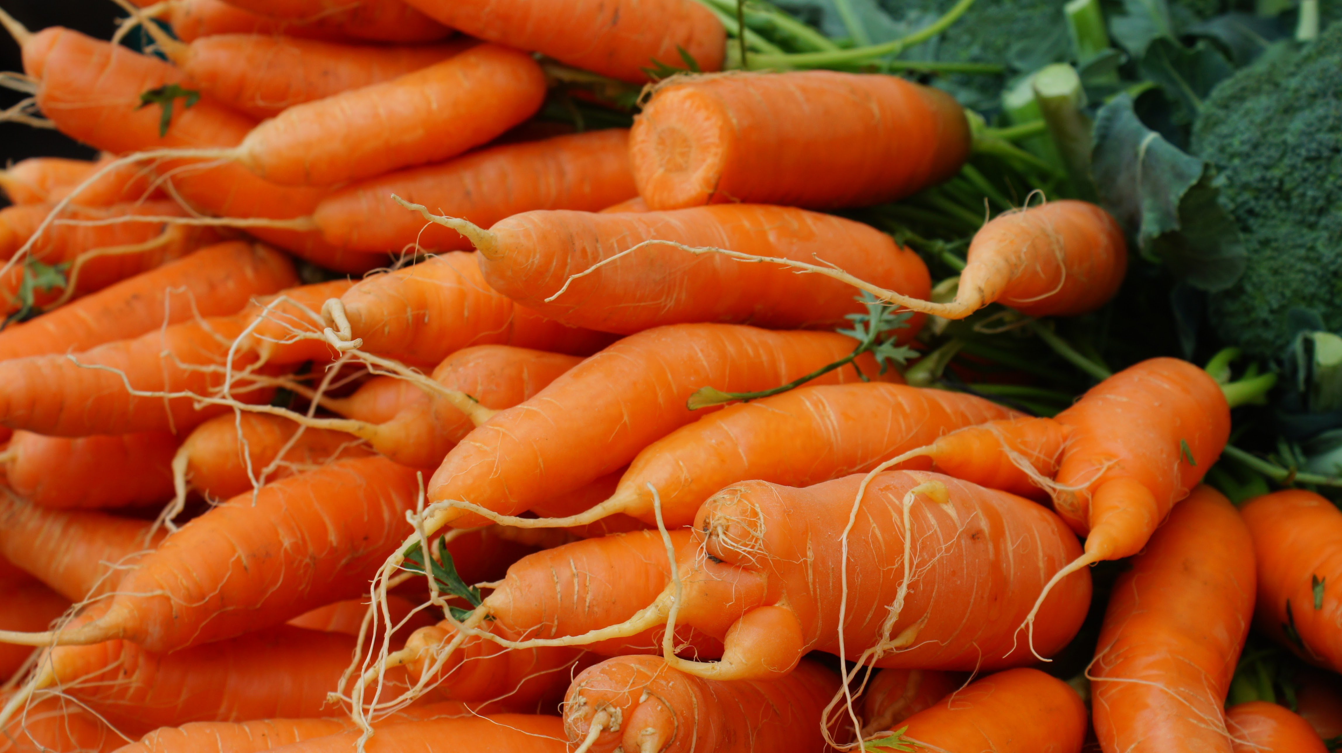 Carrots Provide Better Vitamin C When Uncooked (image credits: By domdomegg, CC BY 4.0, https://commons.wikimedia.org/w/index.php?curid=46011213)