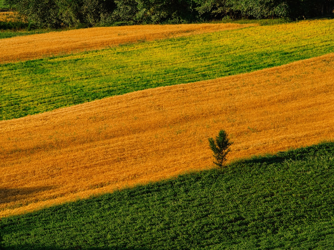Biodiversity Loss: How Food Production Threatens Wildlife (Image Credits: Unsplash)