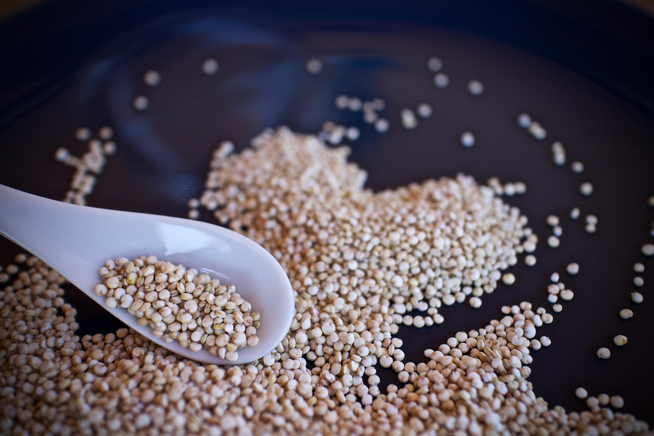 Quinoa Seeds (image credits: pixabay)
