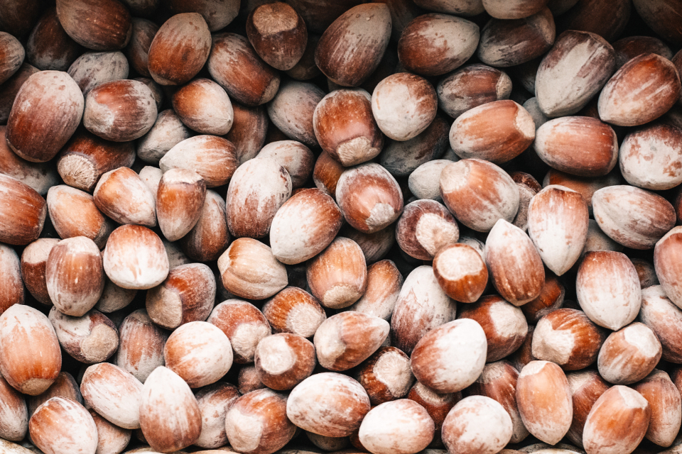Hazelnuts (image credits: stocksnap)