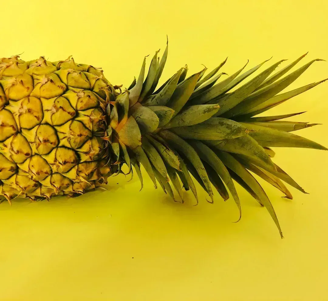 Spam and Pineapple: The Polarizing Protein (Image Credits: Unsplash)