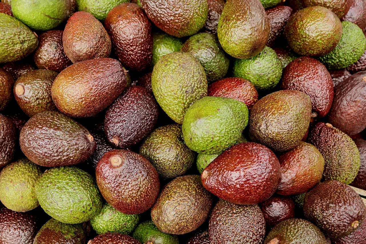 Transparency and Traceability in the Supply Chain (image credits: pixabay)