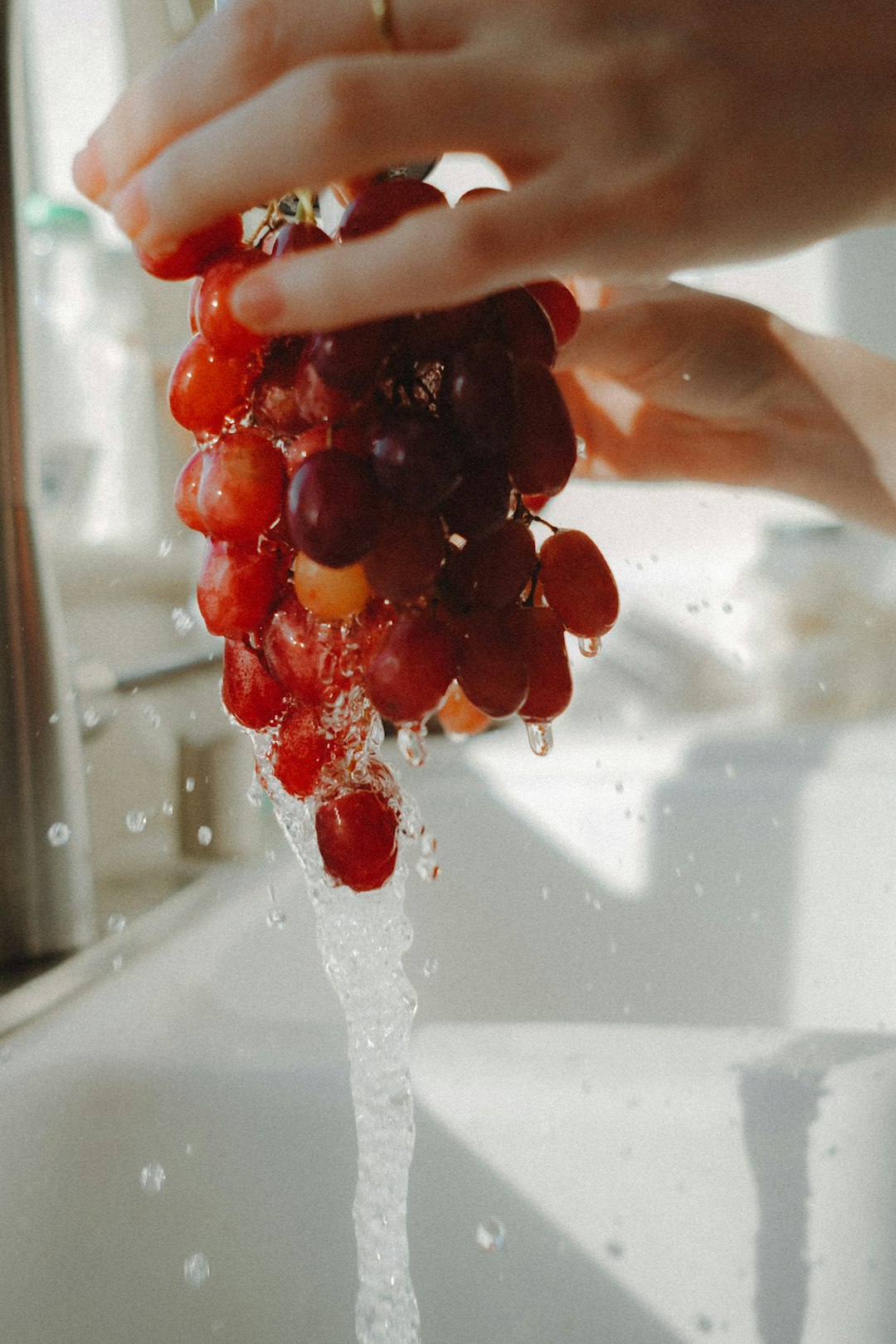 Berries That Absorb Everything Around Them (image credits: unsplash)